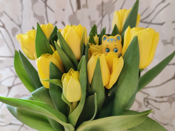 So Small Babies Galoob toy Dandy Lion in a bouquet of yellow tulips.