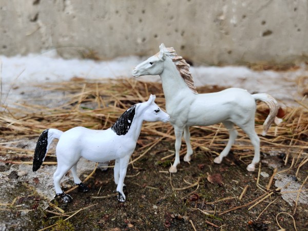 Plastic horse toys from the 1980s and 1990s.